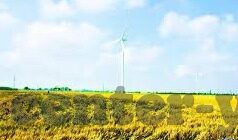 麻豆视传媒app官方视频-探索多元文化视野下的媒体创新，麻豆视传媒app官方视频的独特魅力