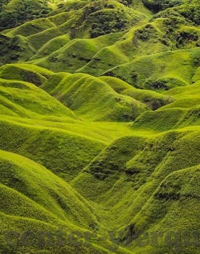 人妻肛肉曲-探索人妻肛肉曲的微妙世界，爱与私密空间的细腻交织